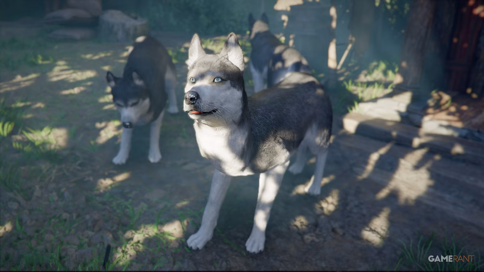 Locais de Husky (e comida favorita) no Deserto Carmesim