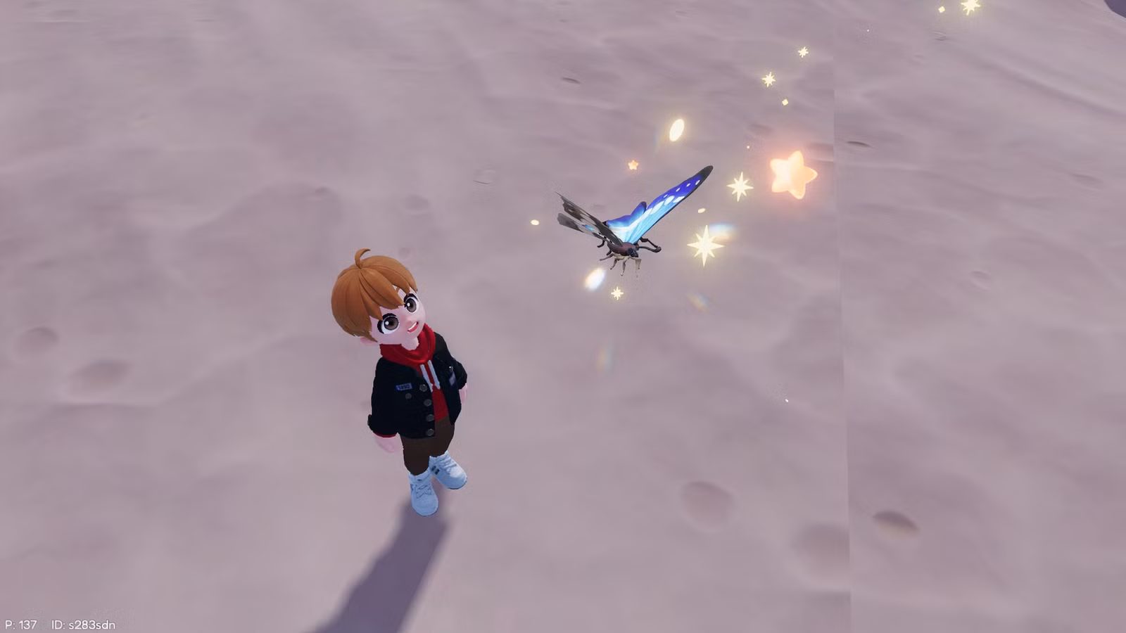 Localização de Morpho Helena em Heartopia